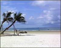 Silver Beach